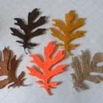 L109 -- 5 Oak leaves on fel..