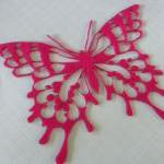 Huge butterfly